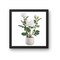 16.1" Artificial White Rose in Ceramic Vase | Elegant Faux Floral Table Decor
